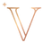 VAYRA - סמל לוגו V